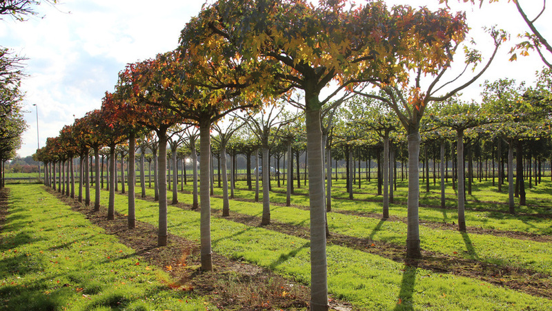 Tuinbouwondernemersprijs - de genomineerden