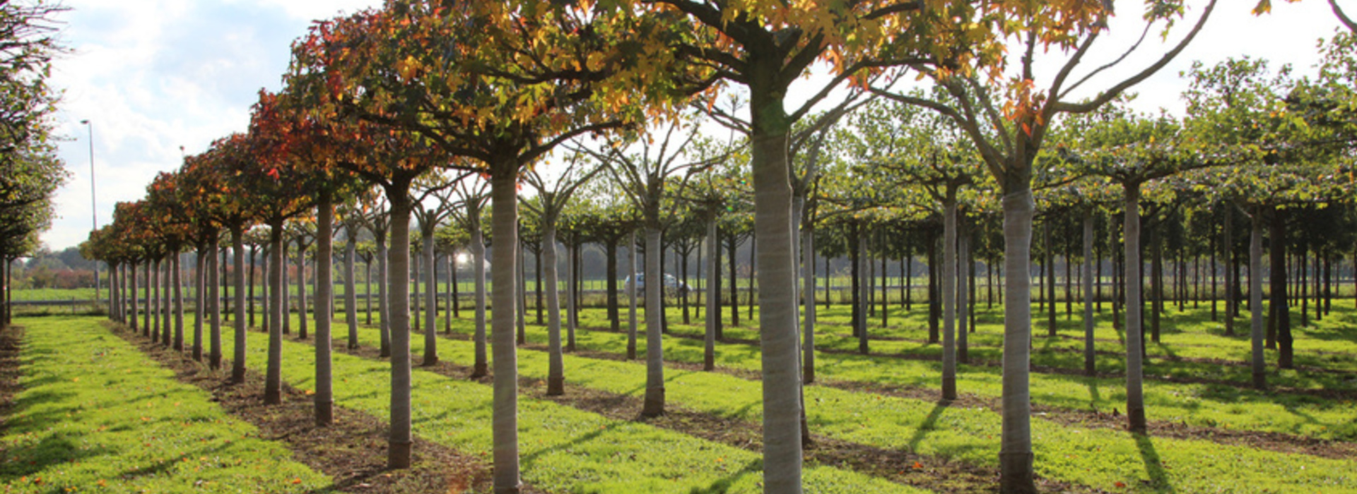 Tuinbouwondernemersprijs - de genomineerden