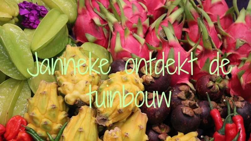 Nieuwe rubriek: ‘Janneke ontdekt de tuinbouw’