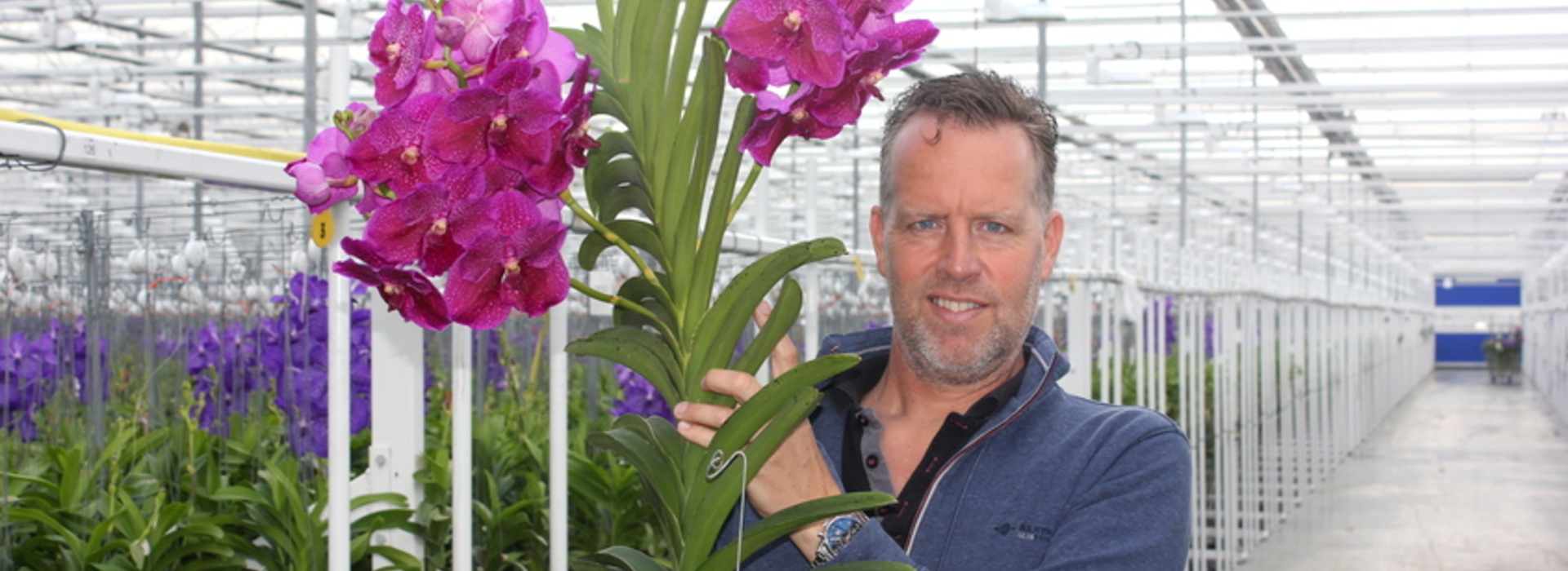Primeur: Kweker van exclusieve oerwoud orchidee geeft kleur aan Kom in de Kas #JODT