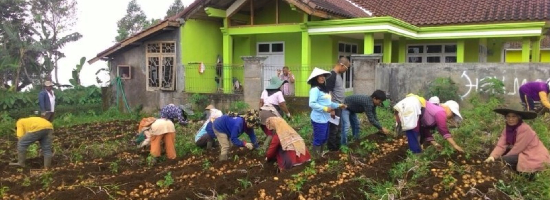 Salim Group en EWINDO bundelen krachten om Indonesische aardappelsector te ontwikkelen